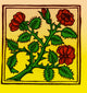Rose illustration from Macer's Viribus Herbarum Poster Print