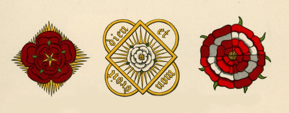Rose Illustrations from Parker's Annales of England Poster Print