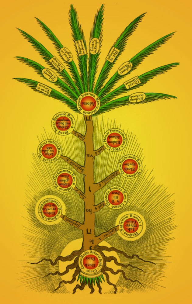 Tree of Life, Etz haChayim Poster Print showcasing vibrant colors