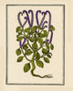 Heliotrop Poster Print showcasing vibrant colors and intricate design.