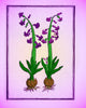Hyacinth Floral Poster Print showcasing vibrant flowers.
