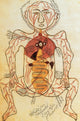 Digestive and Arterial Systems 15th Century Poster Print
