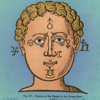 Position of the Planets in the Human Head Poster Print