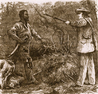 Capture of Nat Turner, American Rebel Poster Print showcasing historical significance.