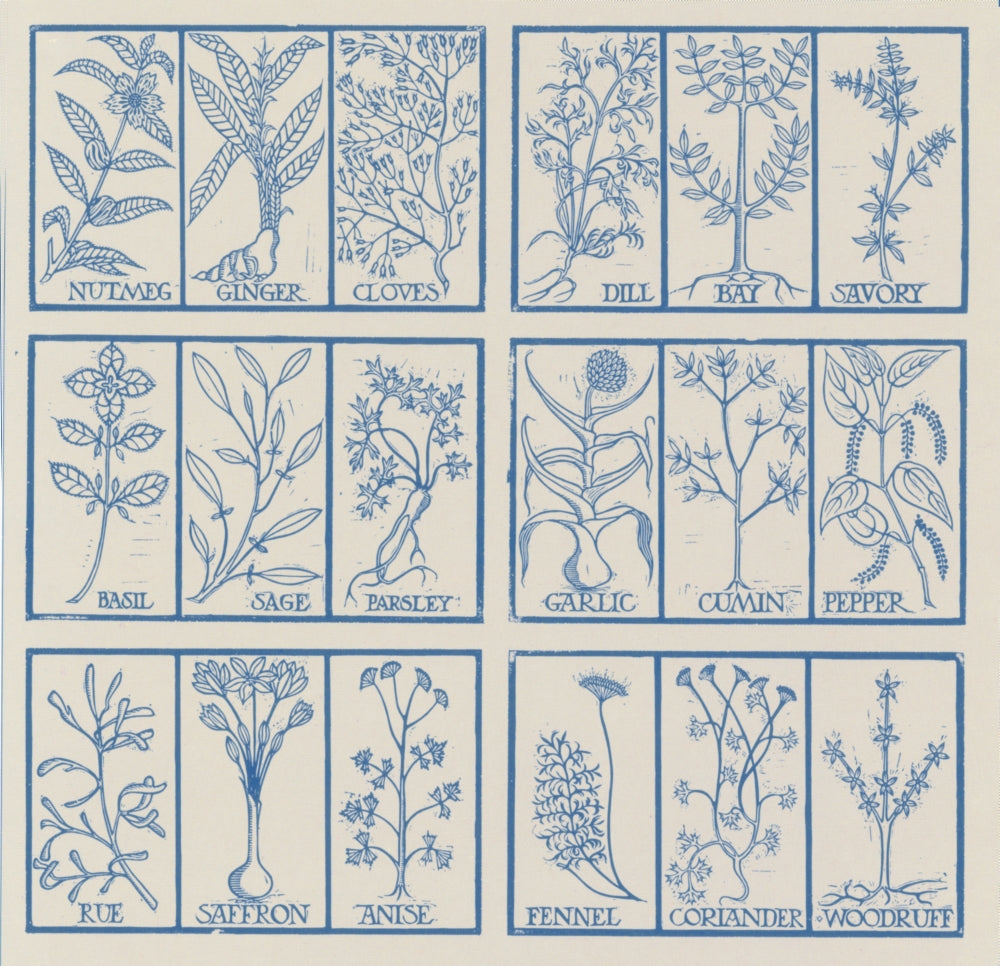 Edible Herbs Poster Print featuring various culinary herbs