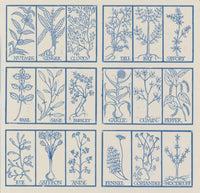 Edible Herbs Poster Print featuring various culinary herbs