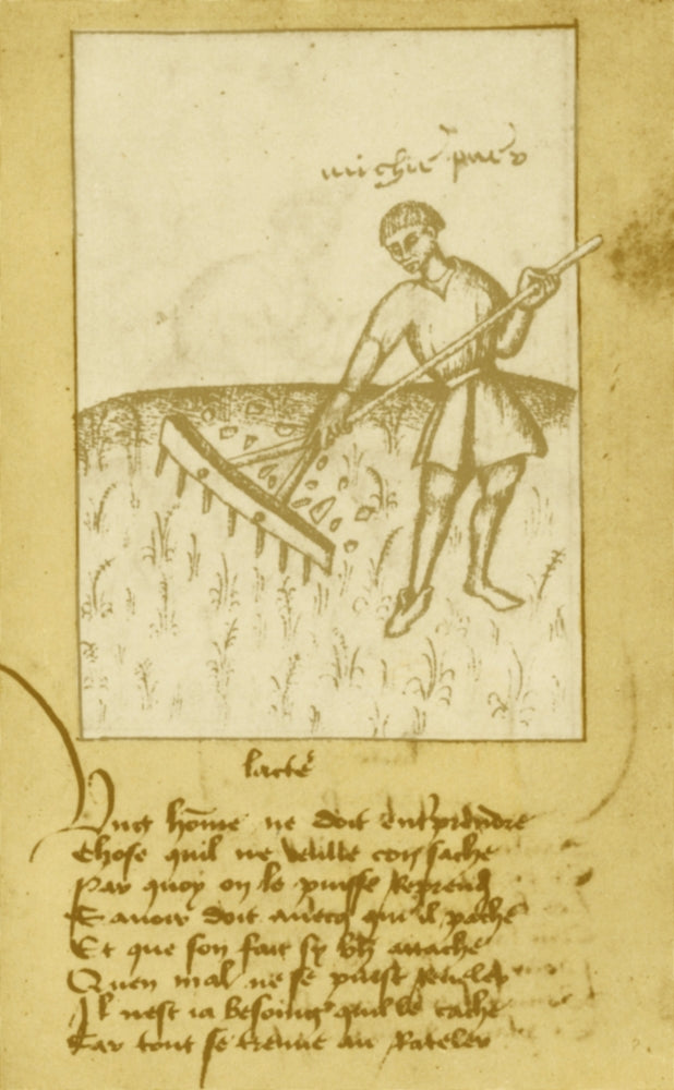 15th Century Agriculture Poster Print showcasing historical farming practices