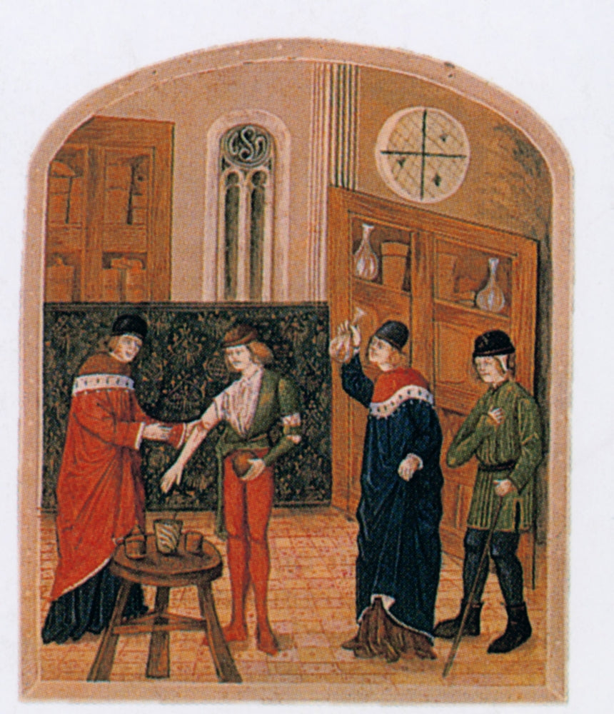 Medieval Medicine 15th Century Poster Print showcasing historical medical practices