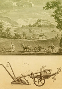 17th Century Agriculture Poster Print showcasing historical farming techniques.