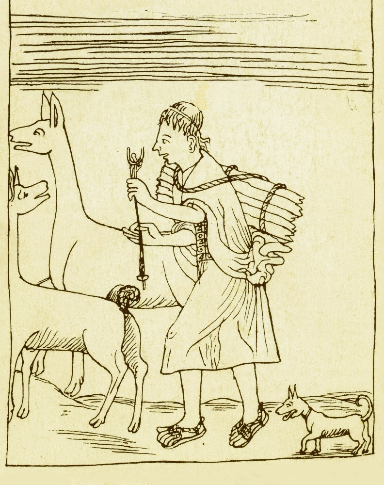 Peruvian Herder 17th Century Poster Print showcasing historical Peruvian culture.
