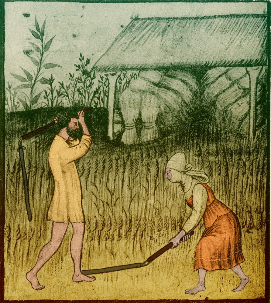 Agriculture Medieval Farming Poster Print showcasing historical farming techniques