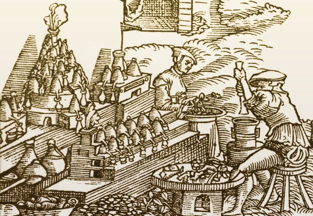 Herbalist Workshop 16th Century Poster Print featuring intricate botanical illustrations.