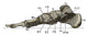 Right Foot Poster Print by Science Source showcasing human anatomy.