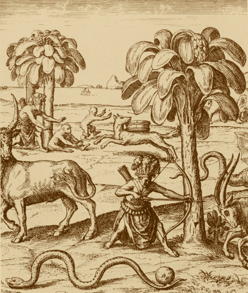 Exploration 1598 Poster Print showcasing adventure and discovery.