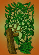 Mistletoe Alchemy Plant Poster Print on premium paper