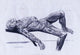 A Flayed Cadaver Poster Print showcasing human anatomy.