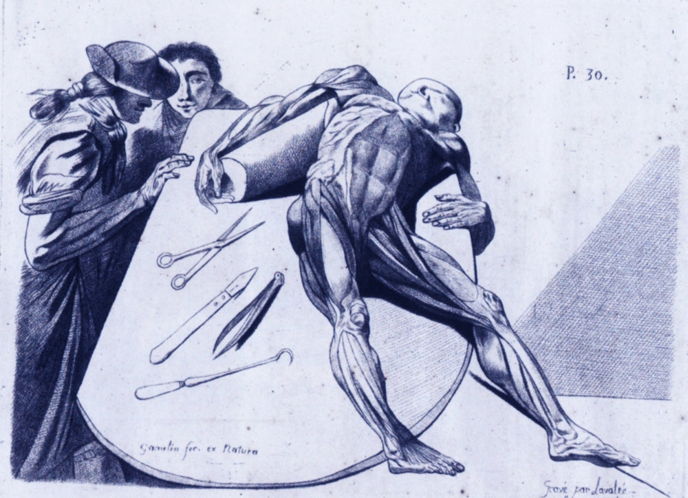 Contemplating a Cadaver Poster Print showcasing human anatomy.