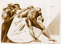 Contemplating a Cadaver Poster Print showcasing anatomical features