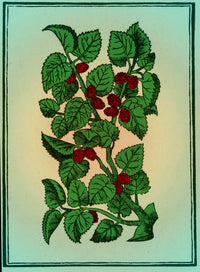 Red Mulberry Poster Print showcasing vibrant nature art.