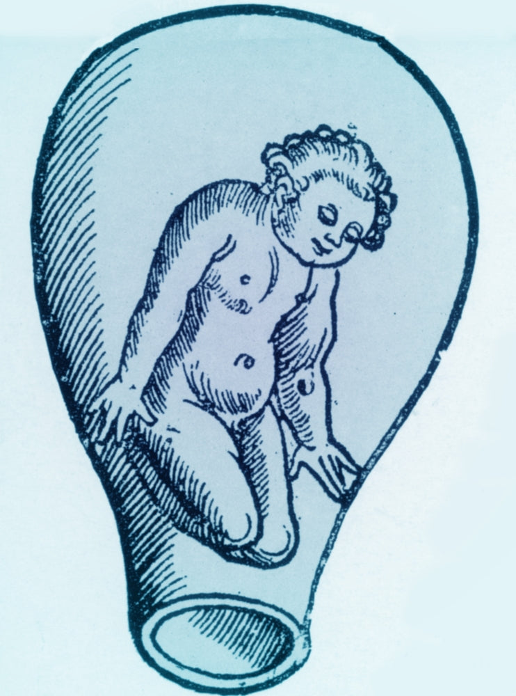Preformationism 18th Century Poster Print from Science Source