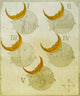 Phases of an Eclipse Poster Print showcasing the celestial phenomenon.