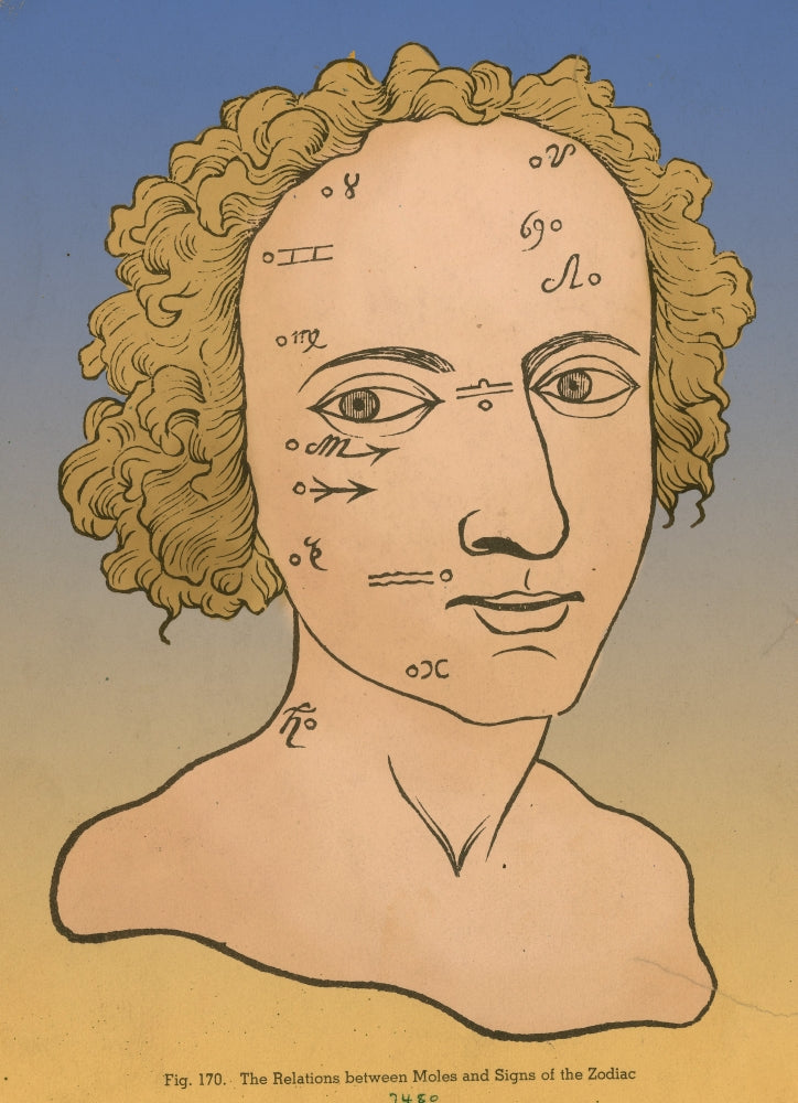 Metoposcopy 17th Century Poster Print featuring historical science art.