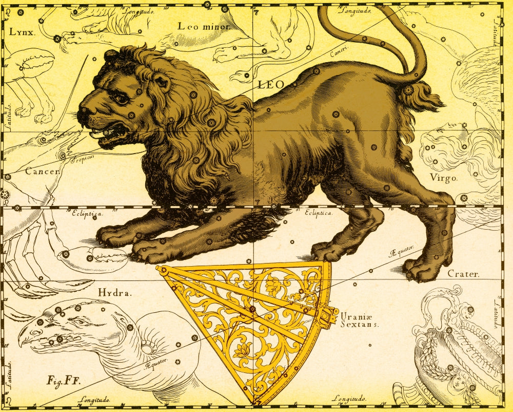 Leo Constellation Zodiac Sign Poster Print by Science Source
