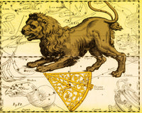 Leo Constellation Zodiac Sign Poster Print by Science Source