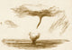 Waterspout Poster Print by Science Source showcasing a natural waterspout