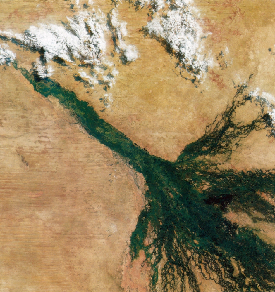 Okavango Delta Satellite Image Poster Print showcasing vibrant colors and intricate patterns.