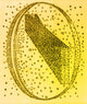 Galactic Model Poster Print by Science Source featuring Herschel's 1784 depiction of the cosmos.