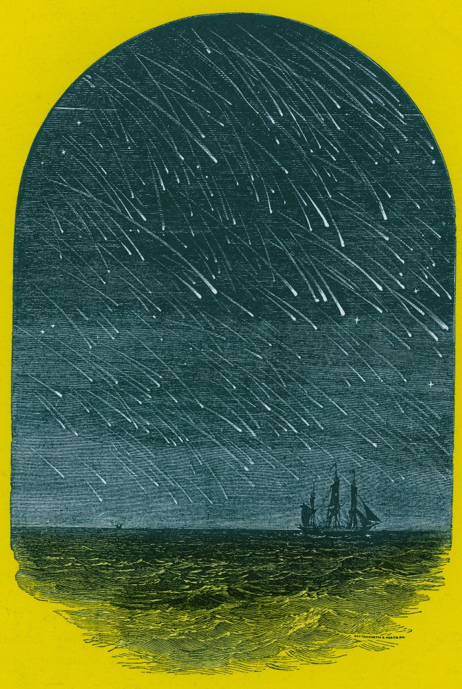 Leonid Meteor Shower Poster Print by Science Source