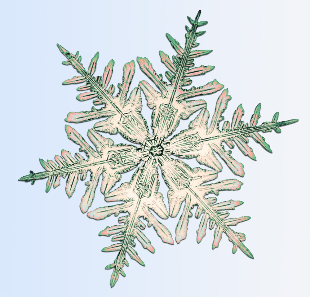 Snowflake Poster Print showcasing intricate snowflake patterns.