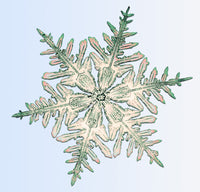 Snowflake Poster Print showcasing intricate snowflake patterns.