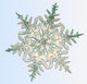 Snowflake Poster Print showcasing intricate snowflake patterns.