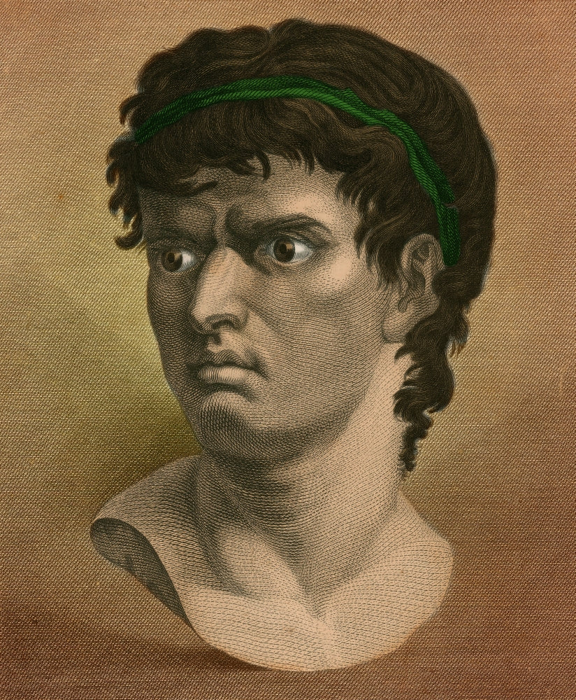 Brutus Roman Politician Poster Print depicting a historical figure