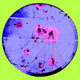 Proton-Photon Collision Poster Print showcasing particle interactions.