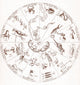Star Map from Kircher's Oedipus Aegyptiacus Poster Print