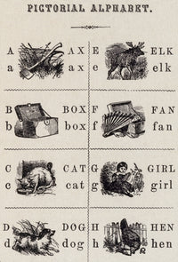 Page from The Pictorial Alphabet Poster Print - Colorful Educational Art