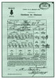 Titanic Document Poster Print showcasing historical details