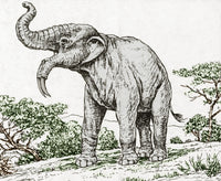 Deinotherium Extinct Prehistoric Mammal Poster Print
