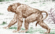 Old World Monkey extinct animals poster print showcasing unique features