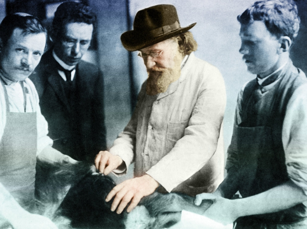 Ilya Ilyich Mechnikov Poster Print - Russian Biologist