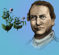 Gregor Mendel, Father of Genetics Poster Print