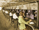 Sangamo Electric Company Poster Print showcasing vintage electrical design