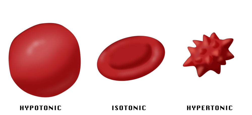 Osmotic Pressure on Blood Cells Poster Print by Monica Schroeder