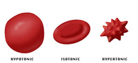 Osmotic Pressure on Blood Cells Poster Print by Monica Schroeder