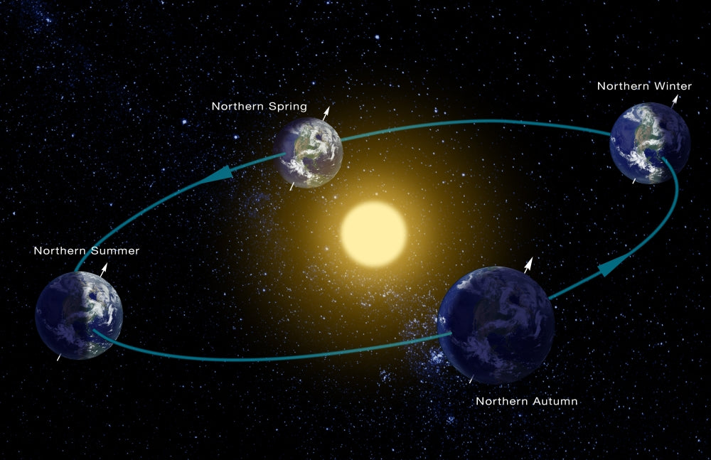 Earth's Orbit & Seasons Poster Print by Monica Schroeder, educational wall art.