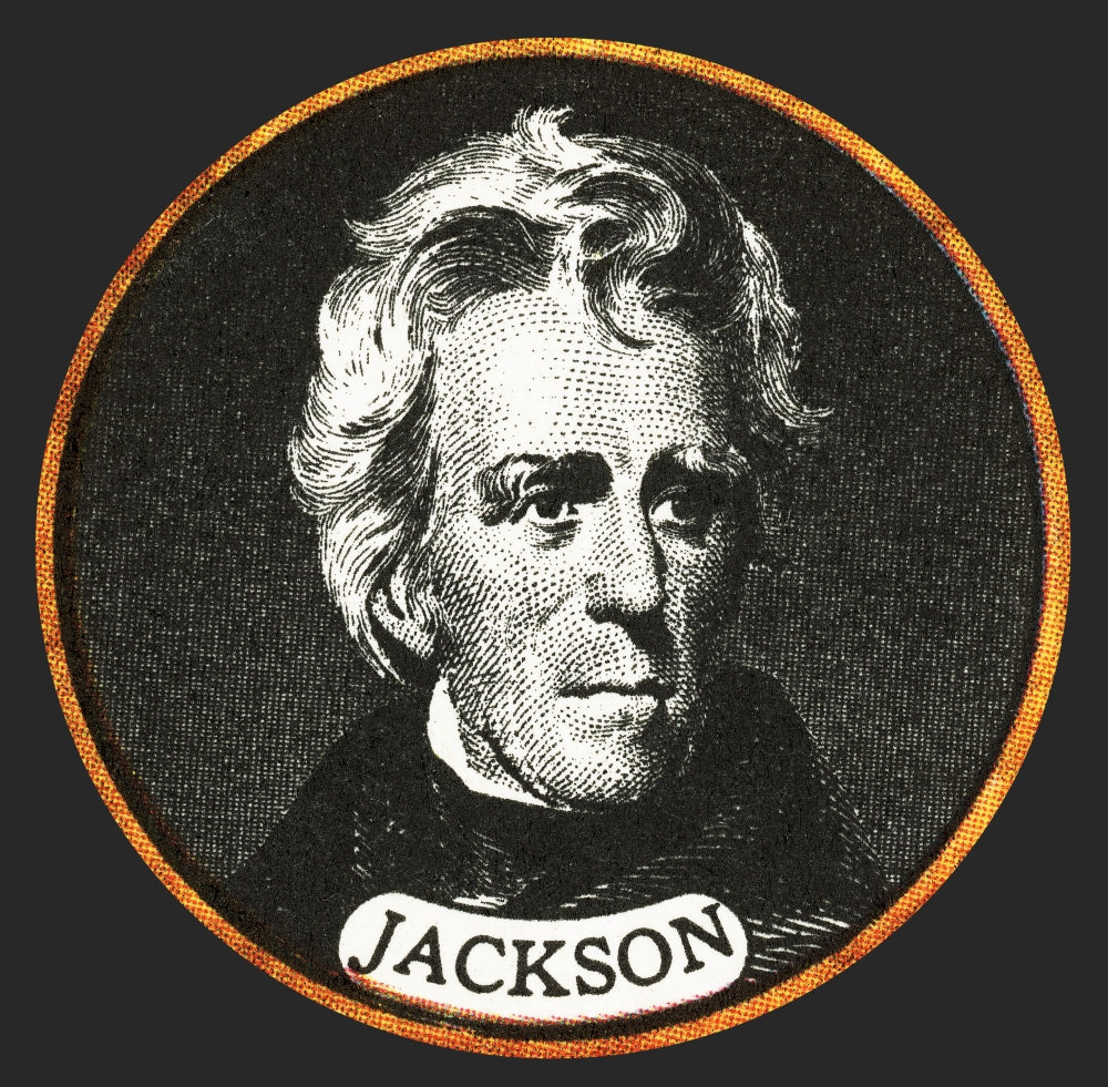 Andrew Jackson, 7th U.S. President Poster Print