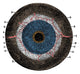 Choroid Coat and Iris Educational Poster Print illustrating eye anatomy.